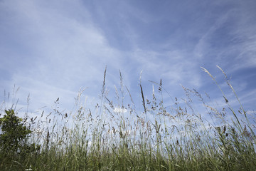Clouded sky by the sea