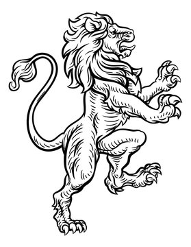 Lion Heraldic Style Drawing