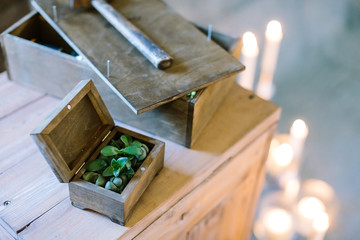 Fototapeta premium planting, growing, handcrafting concept. on the dark wooden box without any pattern there is small green plant, it is placed by box with hammer