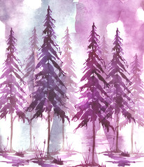 Watercolor art illustration. Drawing of the forest, pine tree, spruce, cedar. Dark, dense forest, suburban landscape. A beautiful burst of paint blue,  pink, purple. Postcard, logo, card.