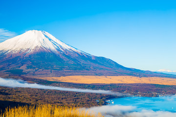 Fototapeta na wymiar The Mt.Fuji.The foreground is pampas grass.Shot in the early morning.The shooting location is Lake Yamanakako, Yamanashi prefecture Japan.