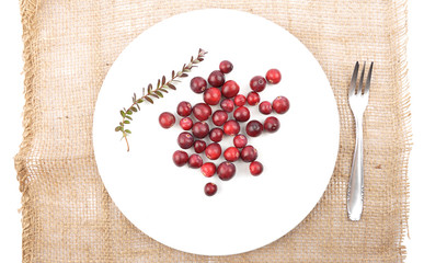 Cranberries mit Zweig und Teller auf Jute