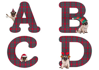 cute Christmas pug puppy dog alphabet letters  A B C D, isolated on white background