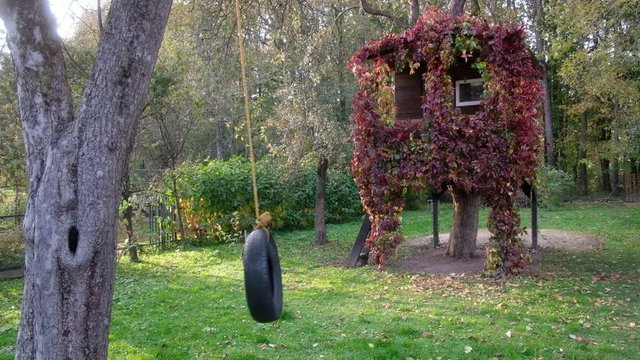 House on a tree