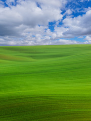 Famous moravian fields - Czech Republic