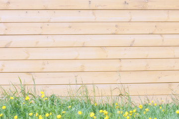 Texture, background, pattern. Good background. The boards are connected as a shield. A wooden wall with green grass. Wood texture, Natural wood background.