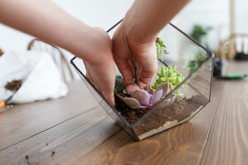 Photo on top of woman's florist showing master class on making florarium