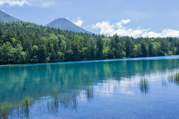 夏の阿寒湖