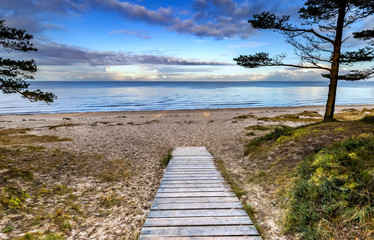 Autumnal coastal landscape with forestry dunes of the Baltic Sea