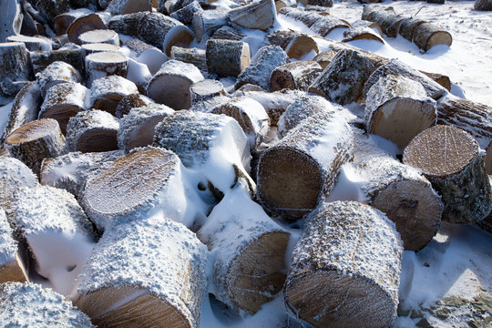 wood logs in the frost