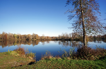 étang de la clarette pond in the french Gâtinais regional nature park