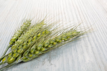 Green ears of wheat.