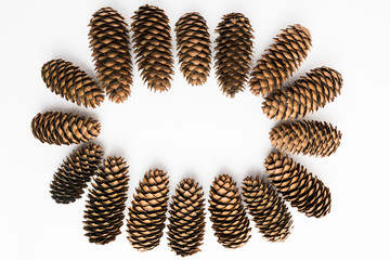 Frame of pine cones over white background with copy space