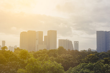Fototapeta premium Tall buildings with tall trees