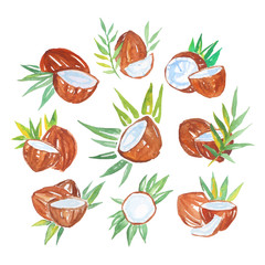Coconuts with palm leaves set of watercolor vector Illustrations