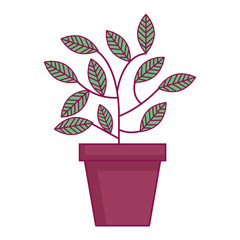 plant in pot icon vector illustration design