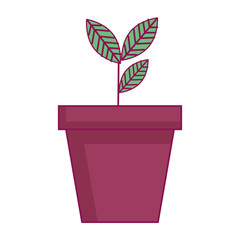 plant in pot icon vector illustration design