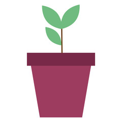 plant in pot icon vector illustration design