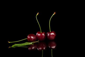Red cherries on black background