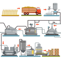 Beer brewing process, production of beer vector Illustrations
