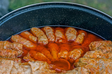 Large bowl in which cook cabbage
