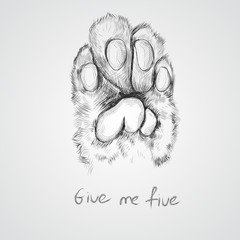 cat's paw. sketch vector graphics