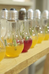 Cacto in vitro