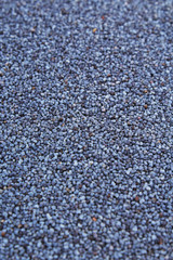 Poppy seed. Poppy seeds as background. Texture background