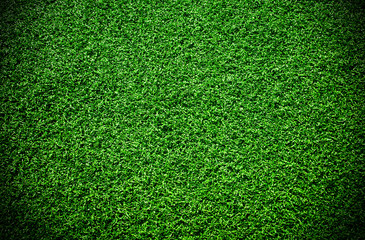 Obraz premium Artificial grass background