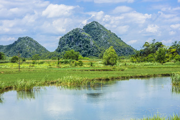 The beautiful countryside scenery in summer