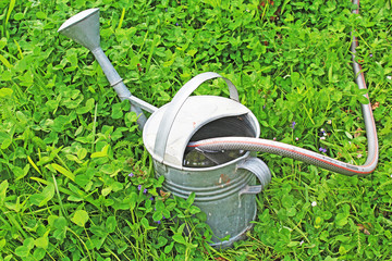 Retro alloy vintage watering can on clover field. Shamrock trefoil lead meadow field. Green spring photo.