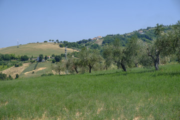 Fototapeta premium Landscape near Ascoli Piceno at summer