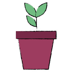 plant in pot icon vector illustration design