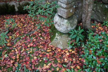 A stone lantern and fallen Leaves / Seimei Temple in Shiga Prefecture Japan