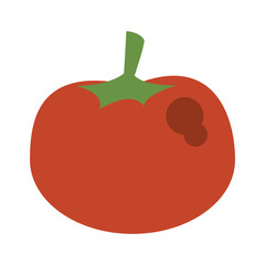 Tomato fresh vegetable