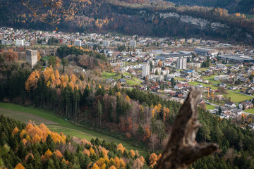 Blick auf Feldkirch vom Schellenberg (Liechtenstein)