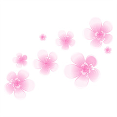 Pink flowers isolated on white background. Apple-tree flowers. Cherry blossom. Vector