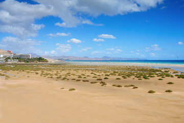 Sotavento Beach in Fuerteventura, Spain