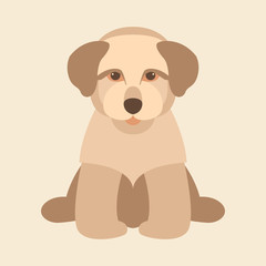 dog puppy flat style vector illustration front