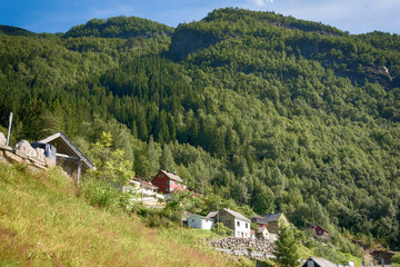Fototapeta na wymiar Mountains and forests in Norway