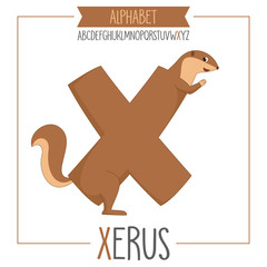 Illustrated Alphabet Letter X and Xerus