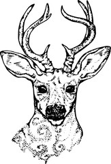 An illustration of a psychedelic deer. Silhouette of head and horns.