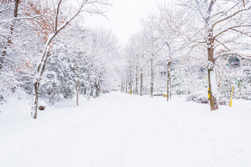 Obraz premium winter landscape in the mountains with falling snow in Seoul,South Korea.