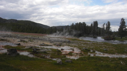 biscuit bassin parc national de yellowstone