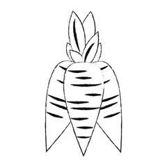 Fresh carrots vegetable icon vector illustration graphic design