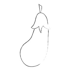 Fresh eggplant vegetable icon vector illustration graphic design