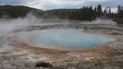 biscuit bassin parc national de yellowstone