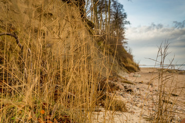 Fototapeta premium Ostsee