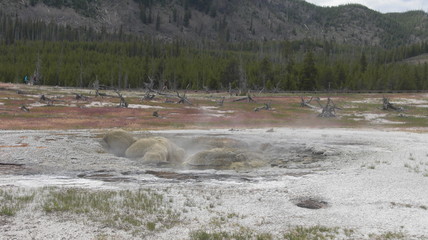 biscuit bassin parc national de yellowstone