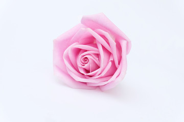 Pink rose petals isolated on white background for valentines day